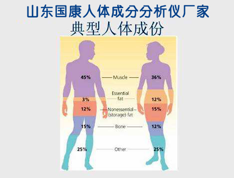 山東91免费网址黄色软件91免费版廠家告訴您人體的成分