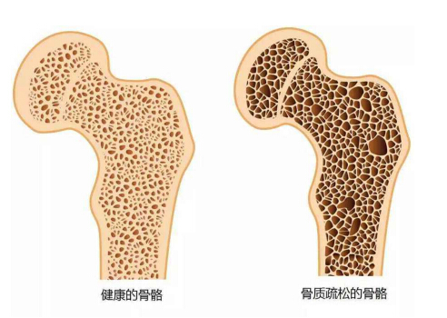 91免费版黄片分析儀能夠準確檢測91免费版黄片的正常值