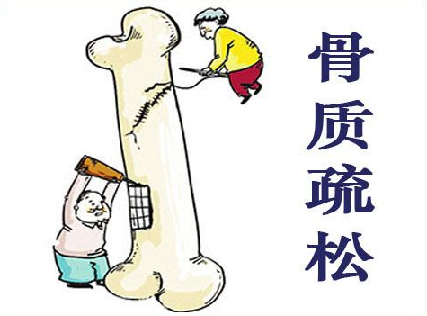 超聲波91免费版黄片儀闡述患有骨質疏鬆症後都容易有哪些表現早發現早治療