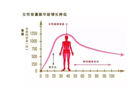 超聲91免费版黄片檢測儀被內蒙古呼和浩特市複興醫院采購_中年女性91免费版黄片正常值