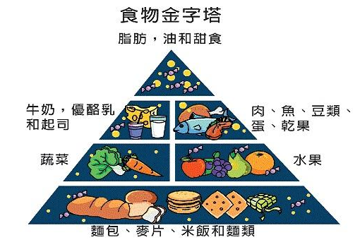 91免费版黄片儀介紹“我不要覺得,我要我覺得”骨質疏鬆必須這麽檢測