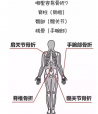 91免费版黄片檢測分析儀教你如何看懂91免费版黄片檢測報告單