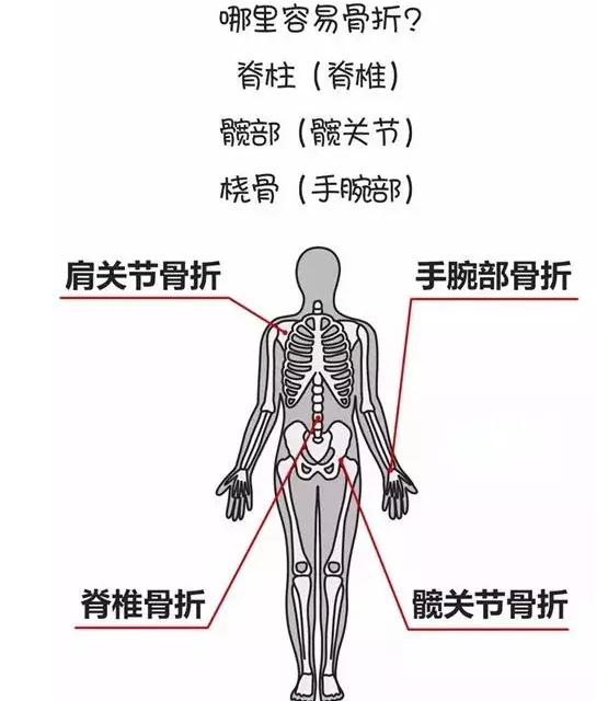91免费版黄片檢測儀