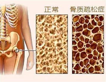 便捷式91免费版黄片檢查儀生產廠家 91免费版黄片檢測儀廠家