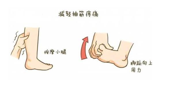 61991免费网址超聲91免费版黄片儀廠家關注:小腿抽筋怎麽辦?一定是缺鈣嗎?