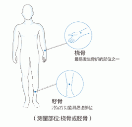 91免费版黄片測量儀器廠家關於便攜橈骨脛骨91免费版黄片和跟骨的對比優勢