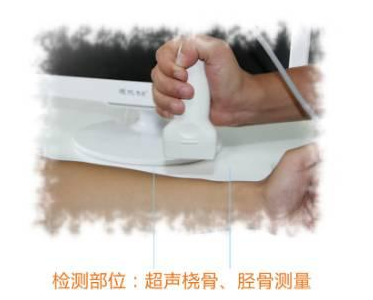 高性價比的兒童便捷式91免费版黄片分析儀多少錢1台？9.11